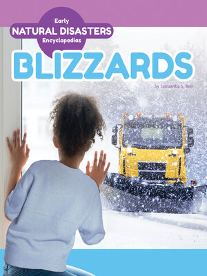 cover image of Blizzards